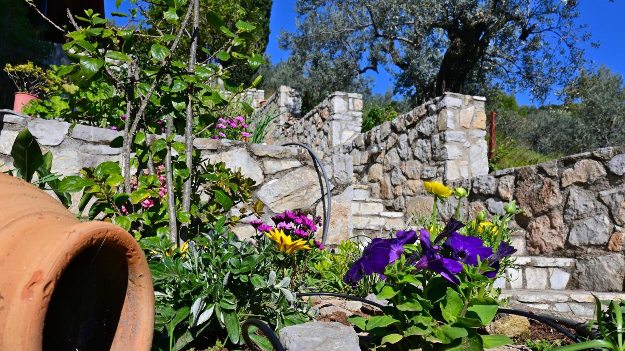 Apartment The Olive Tree Epidaurus