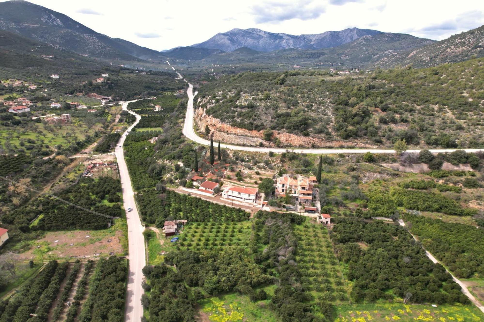 The Olive Tree Apartment