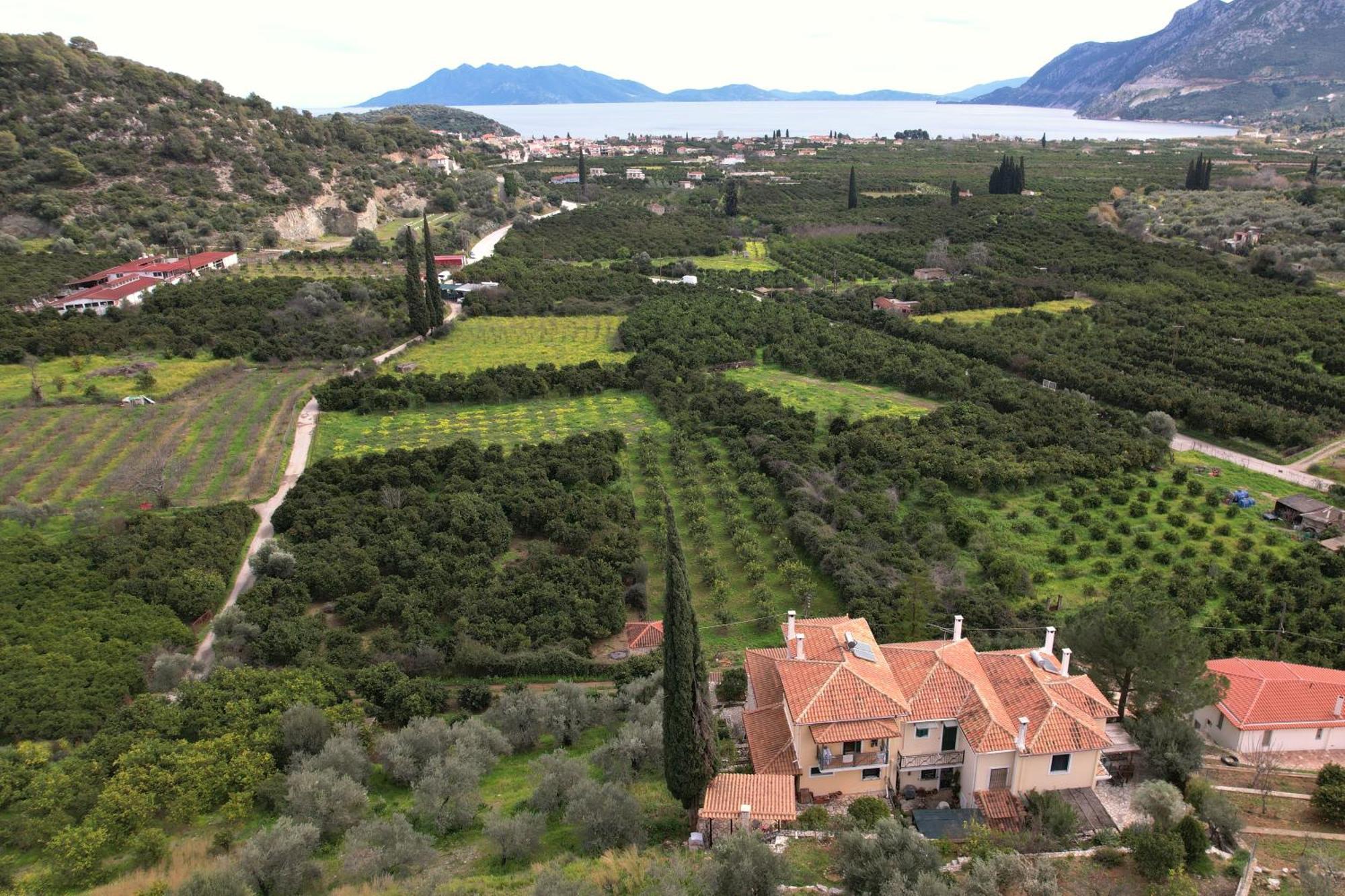 Apartment The Olive Tree